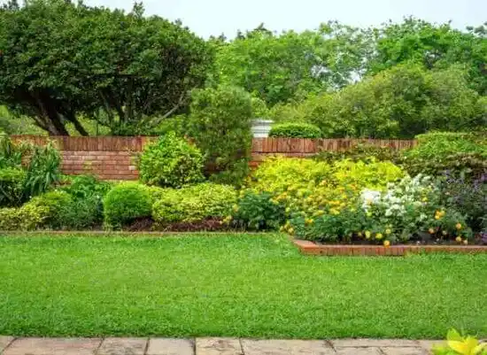 landscaping services Hamilton